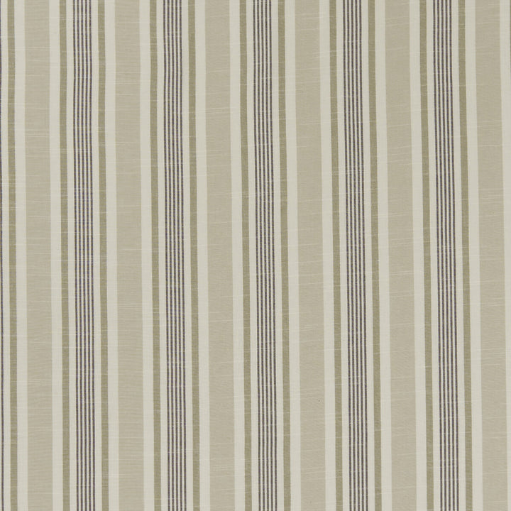 Mappleton Charcoal by Clarke And Clarke Fabric CLARKE & CLARKE BEMPTON COTTON - 100% India - Horizontal: 4.5 and Vertical: 0 55.125 - Fabric Carolina -