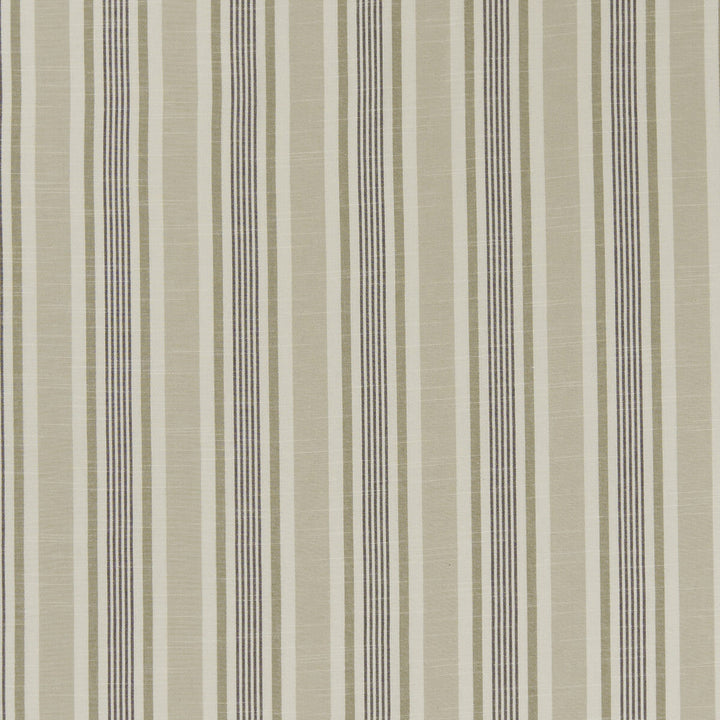 Mappleton Charcoal by Clarke And Clarke Fabric Clarke And Clarke Fabric Mappleton CharcoalFabric CLARKE & CLARKE BEMPTON COTTON - 100% India </p><p>Repeat: H: 4.5, V: 0 55.125 - Fabric Carolina -