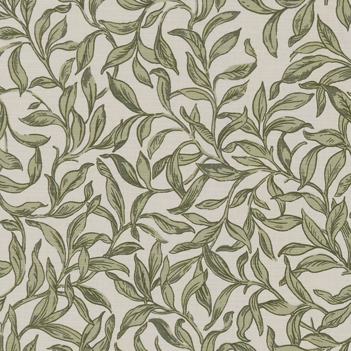 Entwistle Willow by Clarke And Clarke Fabric CLARKE & CLARKE SHERWOOD COTTON - 100% Turkey MEDIUM Horizontal: - and Vertical: - 54 - Fabric Carolina -