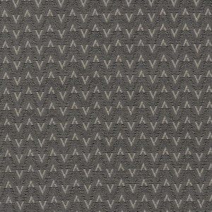 Zion Charcoal by Clarke And Clarke Fabric