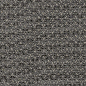 Zion Charcoal by Clarke And Clarke Fabric