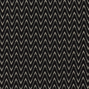 Zion Noir by Clarke And Clarke Fabric