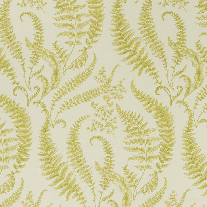 Folium Chartreuse by Clarke And Clarke Fabric Clarke And Clarke Fabric Folium ChartreuseFabric CLARKE & CLARKE EDEN COTTON - 90%;LINEN - 10% Spain </p><p>Repeat: H: 17.75, V: 31.5 54.375 - Fabric Carolina -