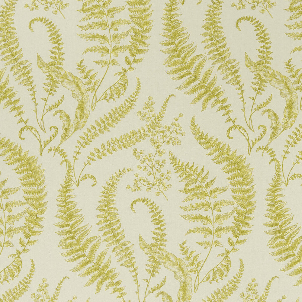 Folium Chartreuse by Clarke And Clarke Fabric CLARKE & CLARKE EDEN COTTON - 90%;LINEN - 10% Spain MEDIUM Horizontal: 17.75 and Vertical: 31.5 54.375 - Fabric Carolina -