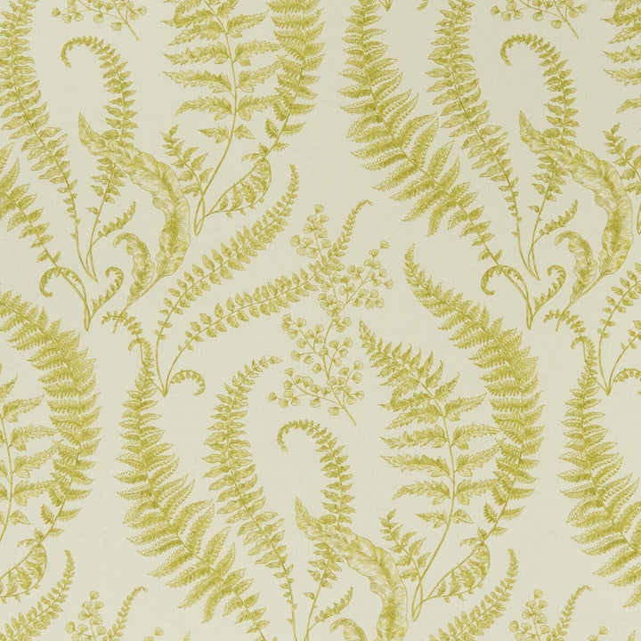 Folium Chartreuse by Clarke And Clarke Fabric Clarke And Clarke Fabric Folium ChartreuseFabric CLARKE & CLARKE EDEN COTTON - 90%;LINEN - 10% Spain </p><p>Repeat: H: 17.75, V: 31.5 54.375 - Fabric Carolina -