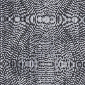 Luster Charcoal by Clarke And Clarke Fabric