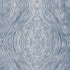 Luster Denim by Clarke And Clarke Fabric