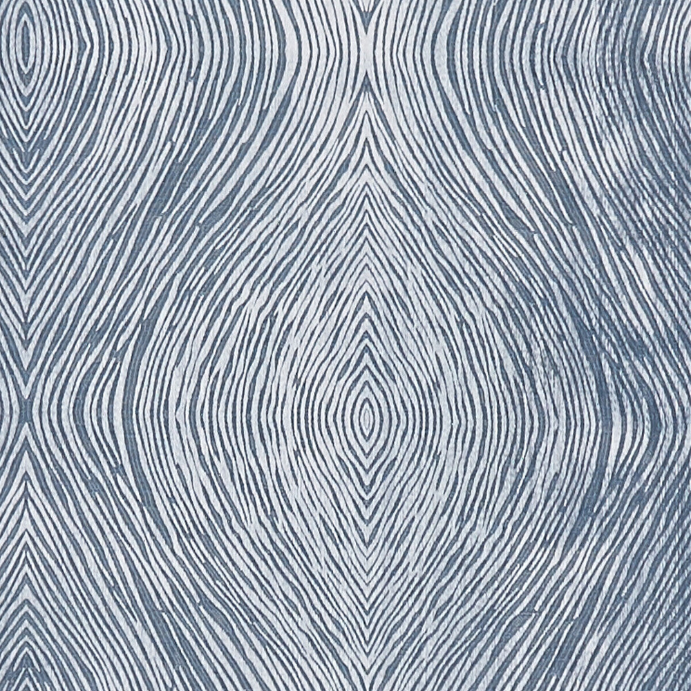 Luster Denim by Clarke And Clarke Fabric Clarke And Clarke Fabric Luster DenimFabric CLARKE & CLARKE DIFFUSION POLYESTER - 58%;COTTON - 42% India </p><p>Repeat: H: 9.125, V: 9.625 54.75 - Fabric Carolina -