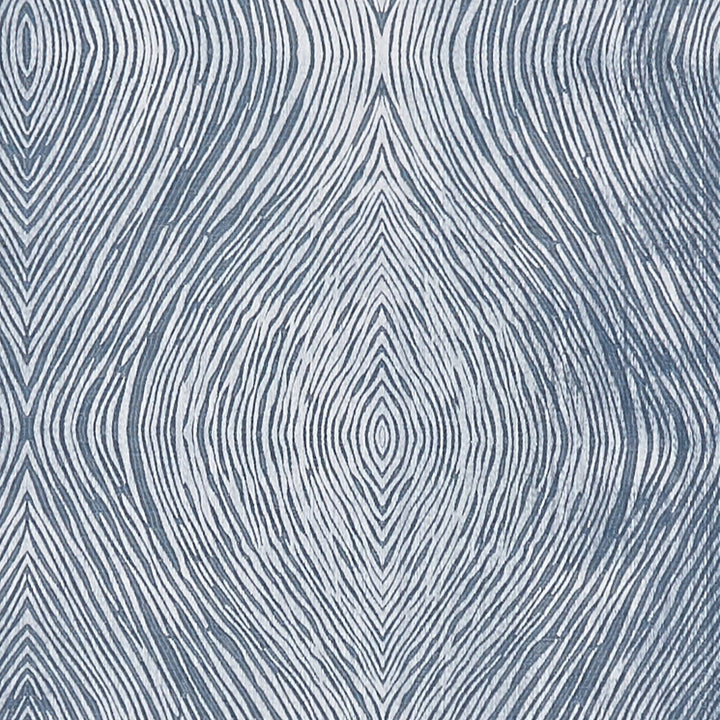 Luster Denim by Clarke And Clarke Fabric Clarke And Clarke Fabric Luster DenimFabric CLARKE & CLARKE DIFFUSION POLYESTER - 58%;COTTON - 42% India </p><p>Repeat: H: 9.125, V: 9.625 54.75 - Fabric Carolina -