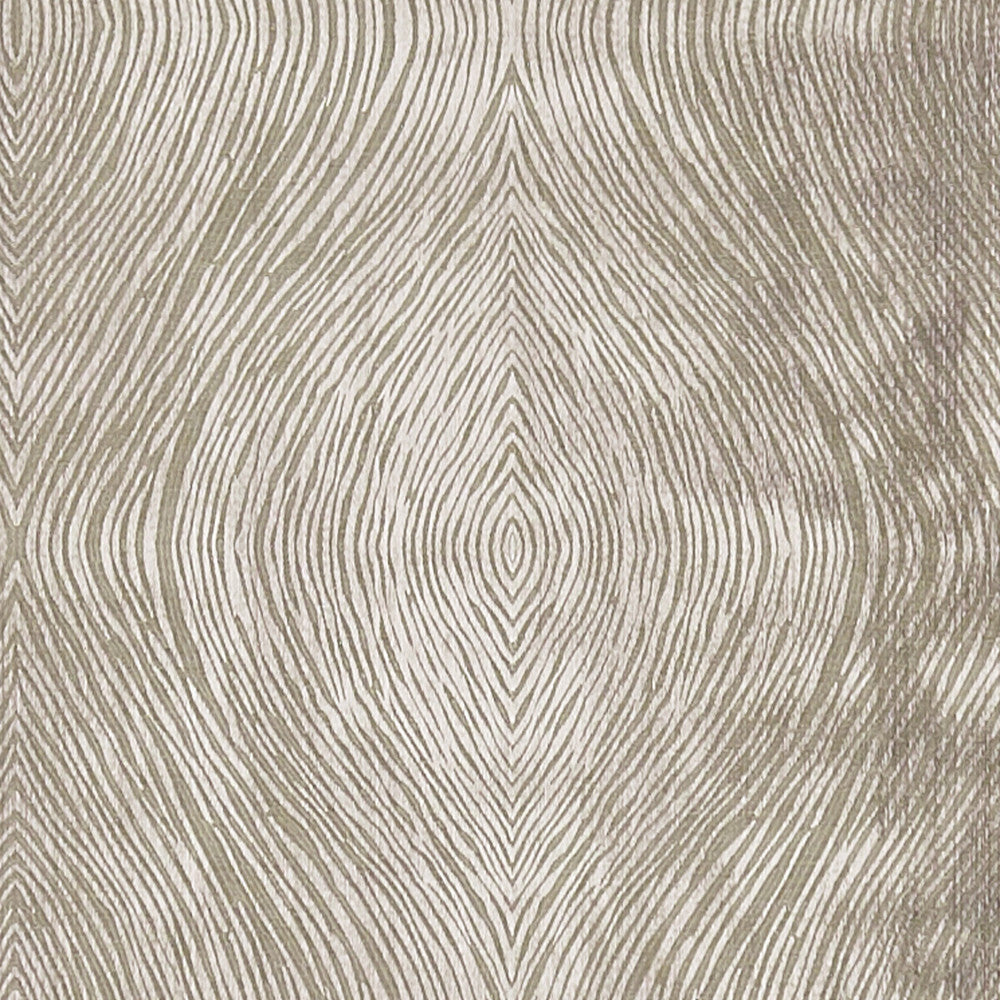 Luster Mocha by Clarke And Clarke Fabric Clarke And Clarke Fabric Luster MochaFabric CLARKE & CLARKE DIFFUSION POLYESTER - 58%;COTTON - 42% India </p><p>Repeat: H: 9.125, V: 9.625 54.75 - Fabric Carolina -