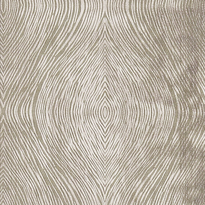 Luster Mocha by Clarke And Clarke Fabric Clarke And Clarke Fabric Luster MochaFabric CLARKE & CLARKE DIFFUSION POLYESTER - 58%;COTTON - 42% India </p><p>Repeat: H: 9.125, V: 9.625 54.75 - Fabric Carolina -