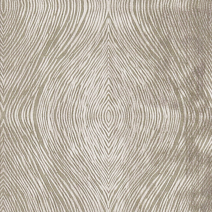Luster Mocha by Clarke And Clarke Fabric Clarke And Clarke Fabric Luster MochaFabric CLARKE & CLARKE DIFFUSION POLYESTER - 58%;COTTON - 42% India </p><p>Repeat: H: 9.125, V: 9.625 54.75 - Fabric Carolina -