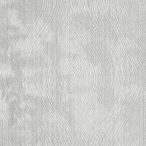 Luster Silver by Clarke And Clarke Fabric