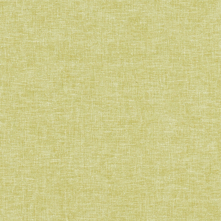 Kelso Citrus by Clarke And Clarke Fabric CLARKE & CLARKE KELSO POLYESTER - 52%;COTTON - 48% India HEAVY Horizontal: 0 and Vertical: 0 54 - Fabric Carolina -