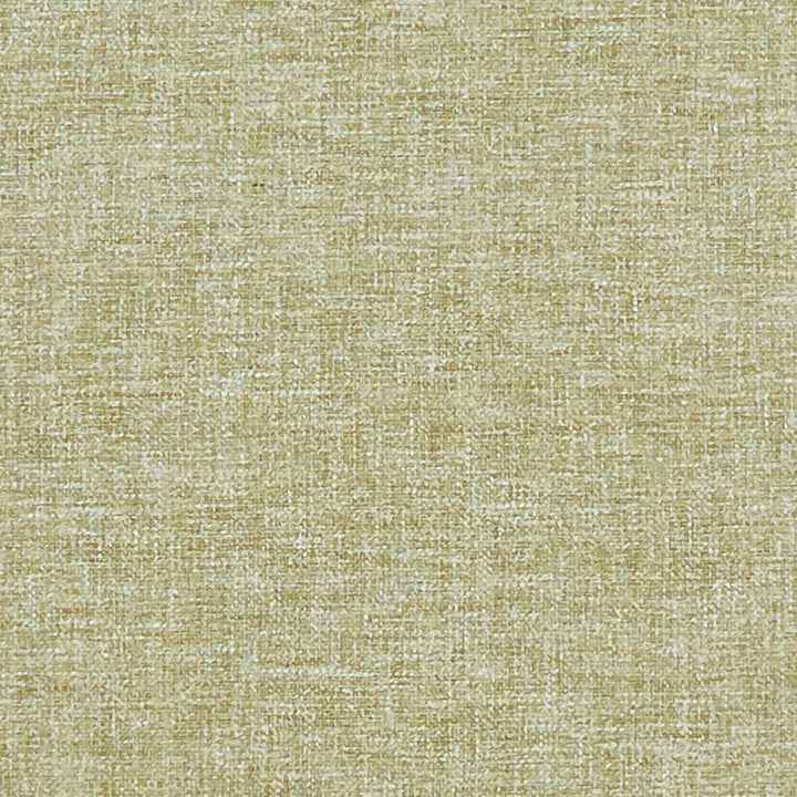 Kelso Olive by Clarke And Clarke Fabric CLARKE & CLARKE KELSO POLYESTER - 52%;COTTON - 48% India HEAVY Horizontal: 0 and Vertical: 0 54 - Fabric Carolina -