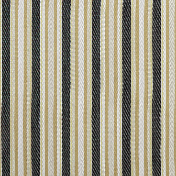 Ziba Charcoal/Ochre by Clarke And Clarke Fabric Clarke And Clarke Fabric Ziba Charcoal/OchreFabric CLARKE & CLARKE PRINCE OF PERSIA COTTON - 45%;VISCOSE - 38%;POLYESTER - 16%;LINEN - 1% India </p><p>Repeat: H: 7.875, V: 0 54.75 - Fabric Carolina -