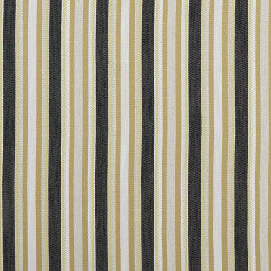 Ziba Charcoal/Ochre by Clarke And Clarke Fabric
