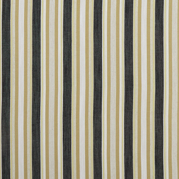 Ziba Charcoal/Ochre by Clarke And Clarke Fabric Clarke And Clarke Fabric Ziba Charcoal/OchreFabric CLARKE & CLARKE PRINCE OF PERSIA COTTON - 45%;VISCOSE - 38%;POLYESTER - 16%;LINEN - 1% India </p><p>Repeat: H: 7.875, V: 0 54.75 - Fabric Carolina -