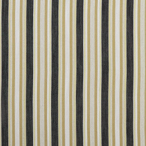 Ziba Charcoal/Ochre by Clarke And Clarke Fabric