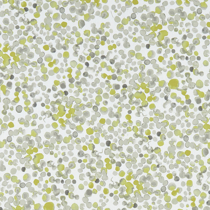 Lugar Chartreuse by Clarke And Clarke Fabric CLARKE & CLARKE PALMERO COTTON - 100% Spain MEDIUM Horizontal: 13.625 and Vertical: 27.625 54 - Fabric Carolina -