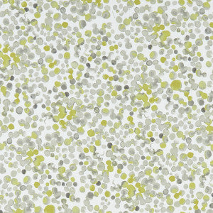 Lugar Chartreuse by Clarke And Clarke Fabric