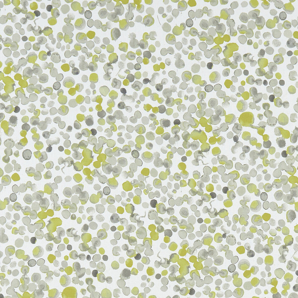 Lugar Chartreuse by Clarke And Clarke Fabric CLARKE & CLARKE PALMERO COTTON - 100% Spain MEDIUM Horizontal: 13.625 and Vertical: 27.625 54 - Fabric Carolina -