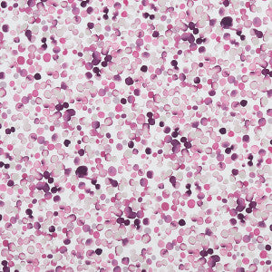 Lugar Magenta by Clarke And Clarke Fabric