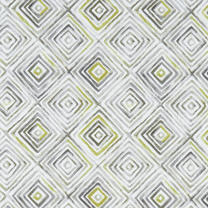 Otis Chartreuse/Charcoal by Clarke And Clarke Fabric Clarke And Clarke Fabric Otis Chartreuse/CharcoalFabric CLARKE & CLARKE PALMERO COTTON - 100% Spain </p><p>Repeat: H: 13.625, V: 13.875 54 - Fabric Carolina -