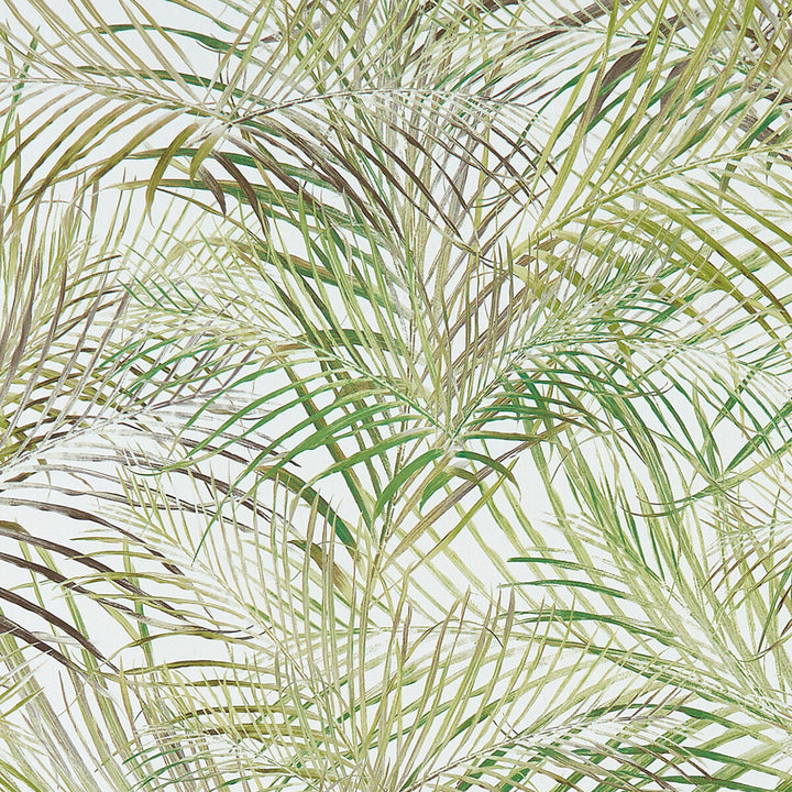 Palmero Forest by Clarke And Clarke Fabric CLARKE & CLARKE PALMERO COTTON - 100% Spain MEDIUM Horizontal: 27 and Vertical: 35.125 54 - Fabric Carolina -