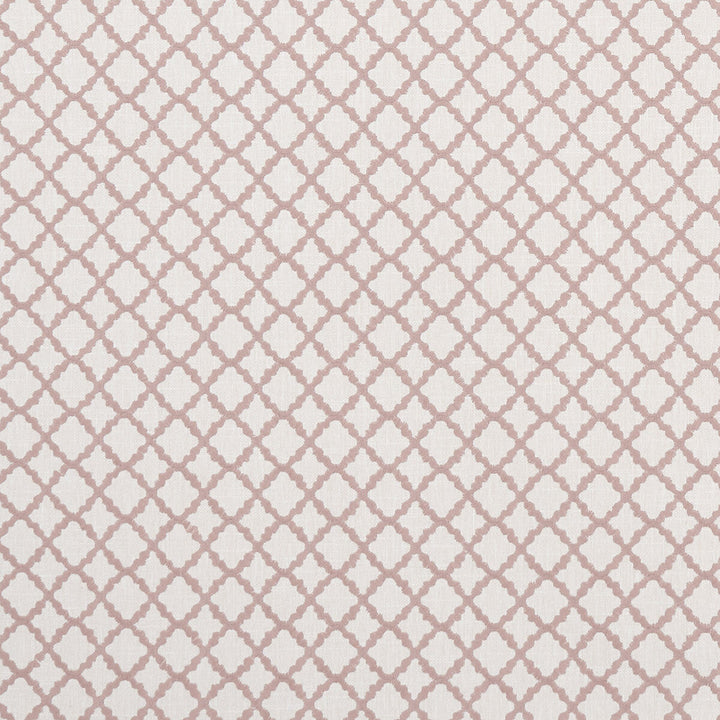 Ariyana Blush by Clarke And Clarke Fabric Clarke And Clarke Fabric Ariyana BlushFabric CLARKE & CLARKE PRINCE OF PERSIA COTTON - 61%;POLYESTER - 24%;VISCOSE - 15% India </p><p>Repeat: H: 1.625, V: 1.625 50.5 - Fabric Carolina -