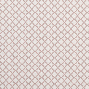 Ariyana Blush by Clarke And Clarke Fabric