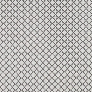 Ariyana Charcoal by Clarke And Clarke Fabric