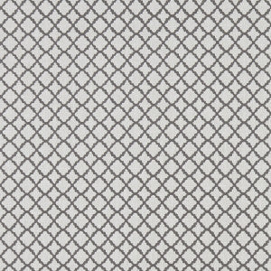 Ariyana Charcoal by Clarke And Clarke Fabric