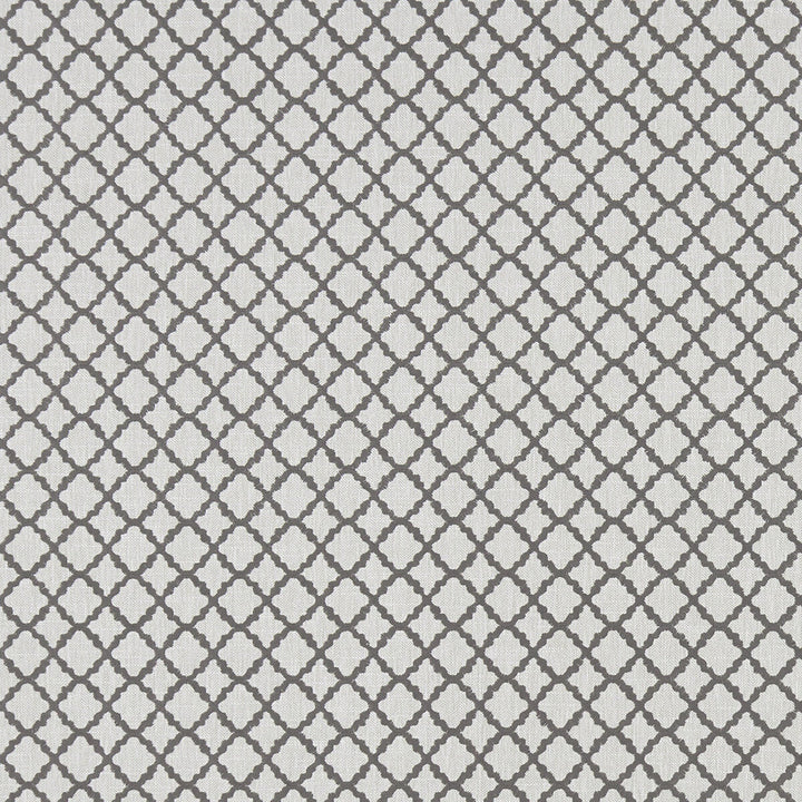 Ariyana Charcoal by Clarke And Clarke Designer Fabric CLARKE & CLARKE PRINCE OF PERSIA COTTON - 61%;POLYESTER - 24%;VISCOSE - 15% India Horizontal: 1.625 and Vertical: 1.625 50.5 - Swanky Fabrics -