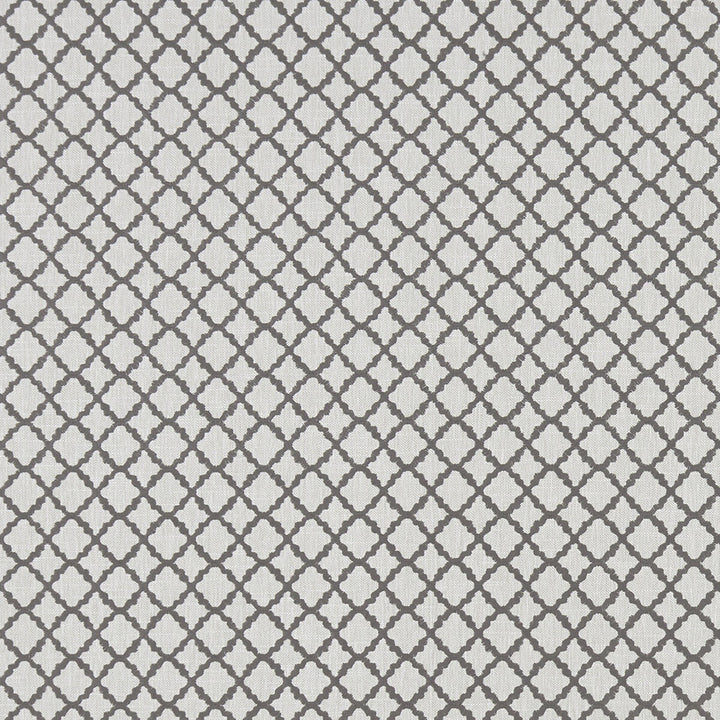 Ariyana Charcoal by Clarke And Clarke Fabric CLARKE & CLARKE PRINCE OF PERSIA COTTON - 61%;POLYESTER - 24%;VISCOSE - 15% India Horizontal: 1.625 and Vertical: 1.625 50.5 - Fabric Carolina -