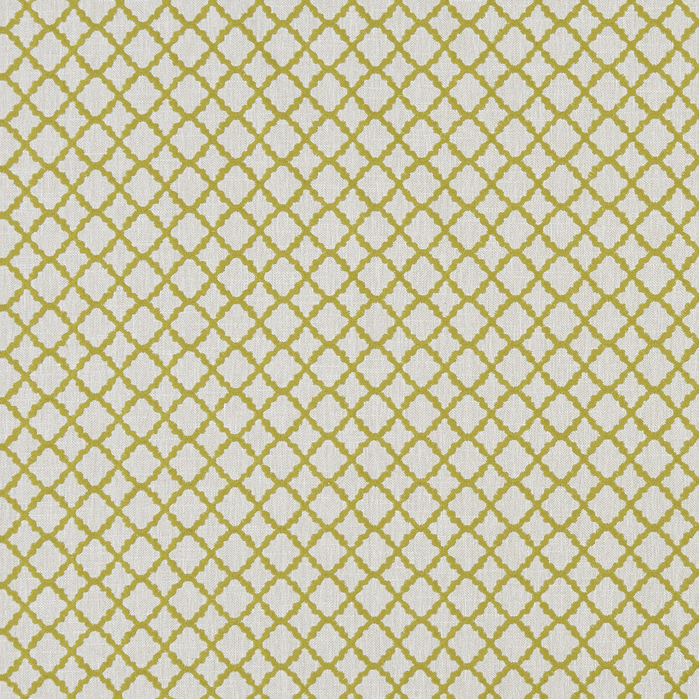 Ariyana Chartreuse by Clarke And Clarke Fabric CLARKE & CLARKE PRINCE OF PERSIA COTTON - 61%;POLYESTER - 24%;VISCOSE - 15% India Horizontal: 1.625 and Vertical: 1.625 50.5 - Fabric Carolina -