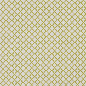 Ariyana Chartreuse by Clarke And Clarke Fabric