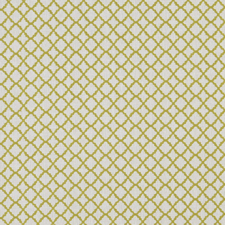 Ariyana Chartreuse by Clarke And Clarke Fabric CLARKE & CLARKE PRINCE OF PERSIA COTTON - 61%;POLYESTER - 24%;VISCOSE - 15% India - Horizontal: 1.625 and Vertical: 1.625 50.5 - Fabric Carolina -