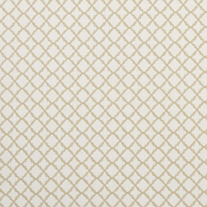 Ariyana Natural by Clarke And Clarke Fabric Clarke And Clarke Fabric Ariyana NaturalFabric CLARKE & CLARKE PRINCE OF PERSIA COTTON - 61%;POLYESTER - 24%;VISCOSE - 15% India </p><p>Repeat: H: 1.625, V: 1.625 50.5 - Fabric Carolina -