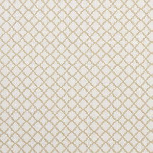 Ariyana Natural by Clarke And Clarke Fabric