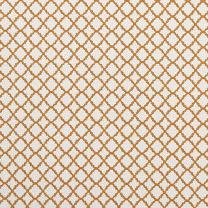 Ariyana Spice by Clarke And Clarke Fabric