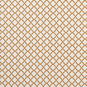 Ariyana Spice by Clarke And Clarke Fabric