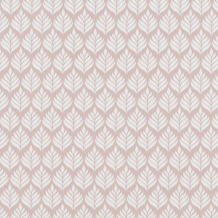 Elise Blush by Clarke And Clarke Fabric CLARKE & CLARKE CO-ORDINATES COTTON - 100% Turkey MEDIUM Horizontal: 1.75 and Vertical: 3.125 54 - Fabric Carolina -