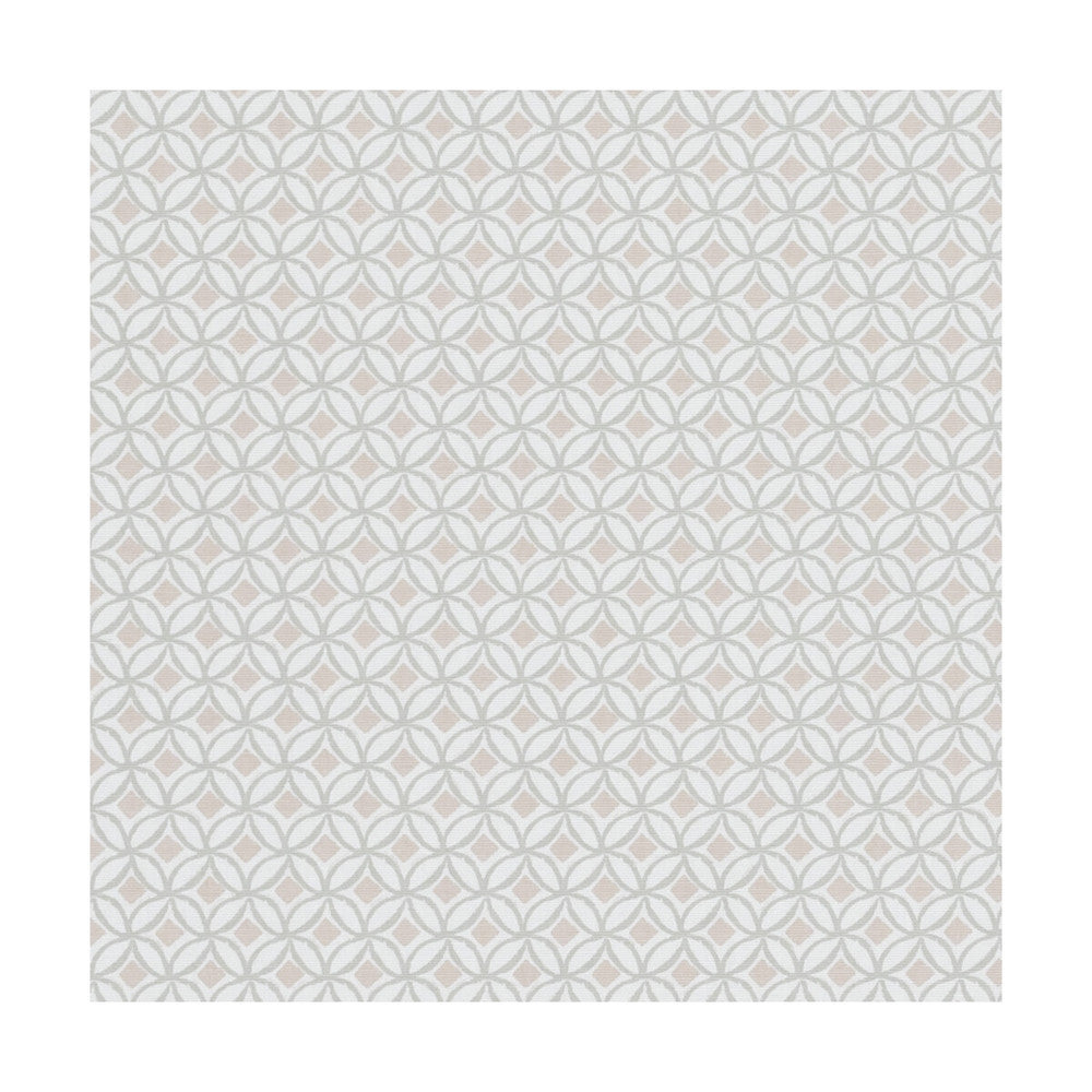 Ortis Blush by Clarke And Clarke Fabric Clarke And Clarke Fabric Ortis BlushFabric CLARKE & CLARKE CO-ORDINATES COTTON - 100% Turkey </p><p>Repeat: H: 1, V: 1.125 54 - Fabric Carolina -