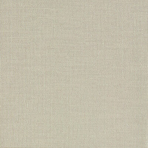 Pura Taupe by Clarke And Clarke Fabric