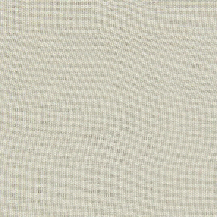 Terra Ivory by Clarke And Clarke Fabric Clarke And Clarke Fabric Terra IvoryFabric CLARKE & CLARKE NATURA POLYESTER FR - 100% Turkey </p><p>Repeat: H: 0, V: 0 119 - Fabric Carolina -