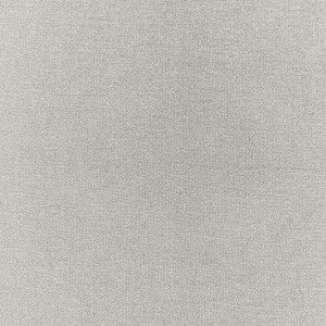 Acies Silver by Clarke And Clarke Fabric