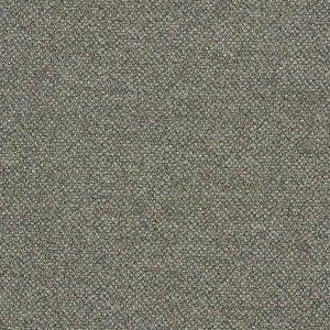 Filum Earth by Clarke And Clarke Fabric