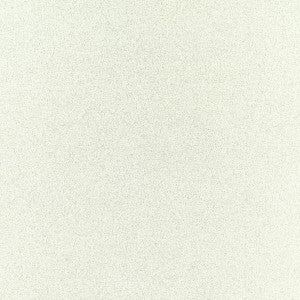 Misto Dove by Clarke And Clarke Fabric