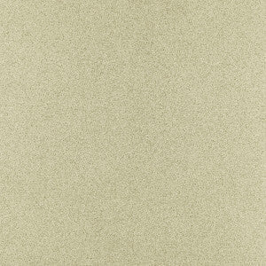 Misto Sesame by Clarke And Clarke Fabric